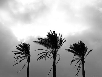 La Rúa del Bal en directo. Sábado 20 de diciembre. 20:30 hs